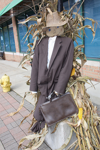 Professional Scarecrow