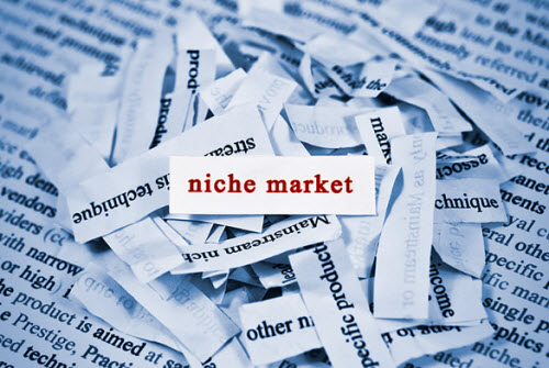 What To Do With Your Niche Statement