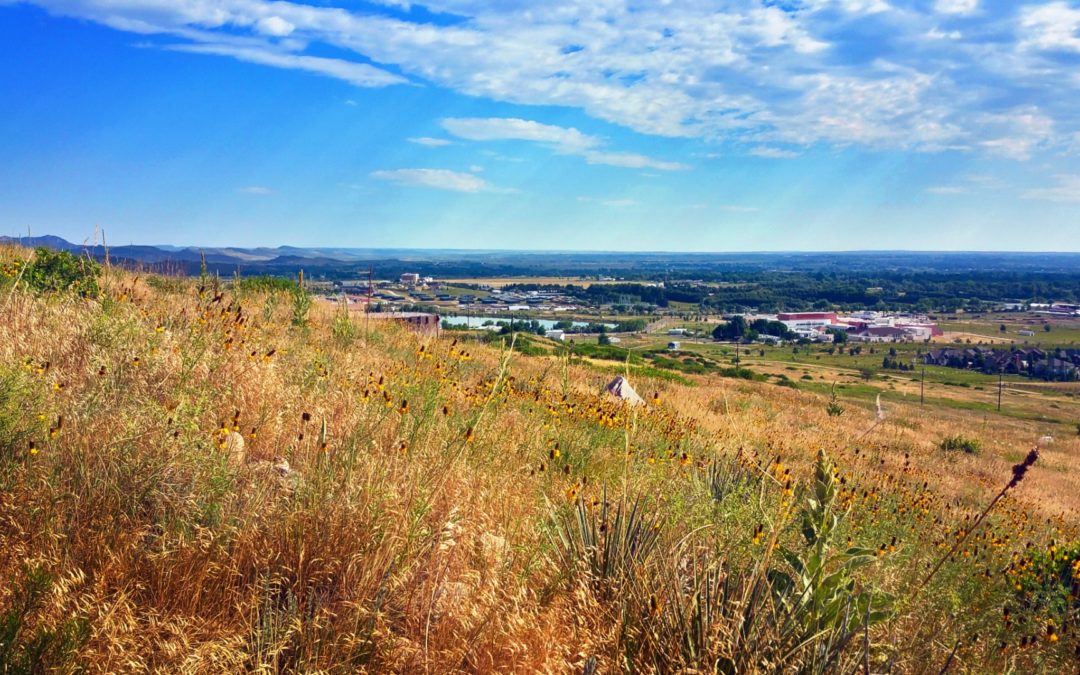 Moving to Fort Collins: Quick Start Guide