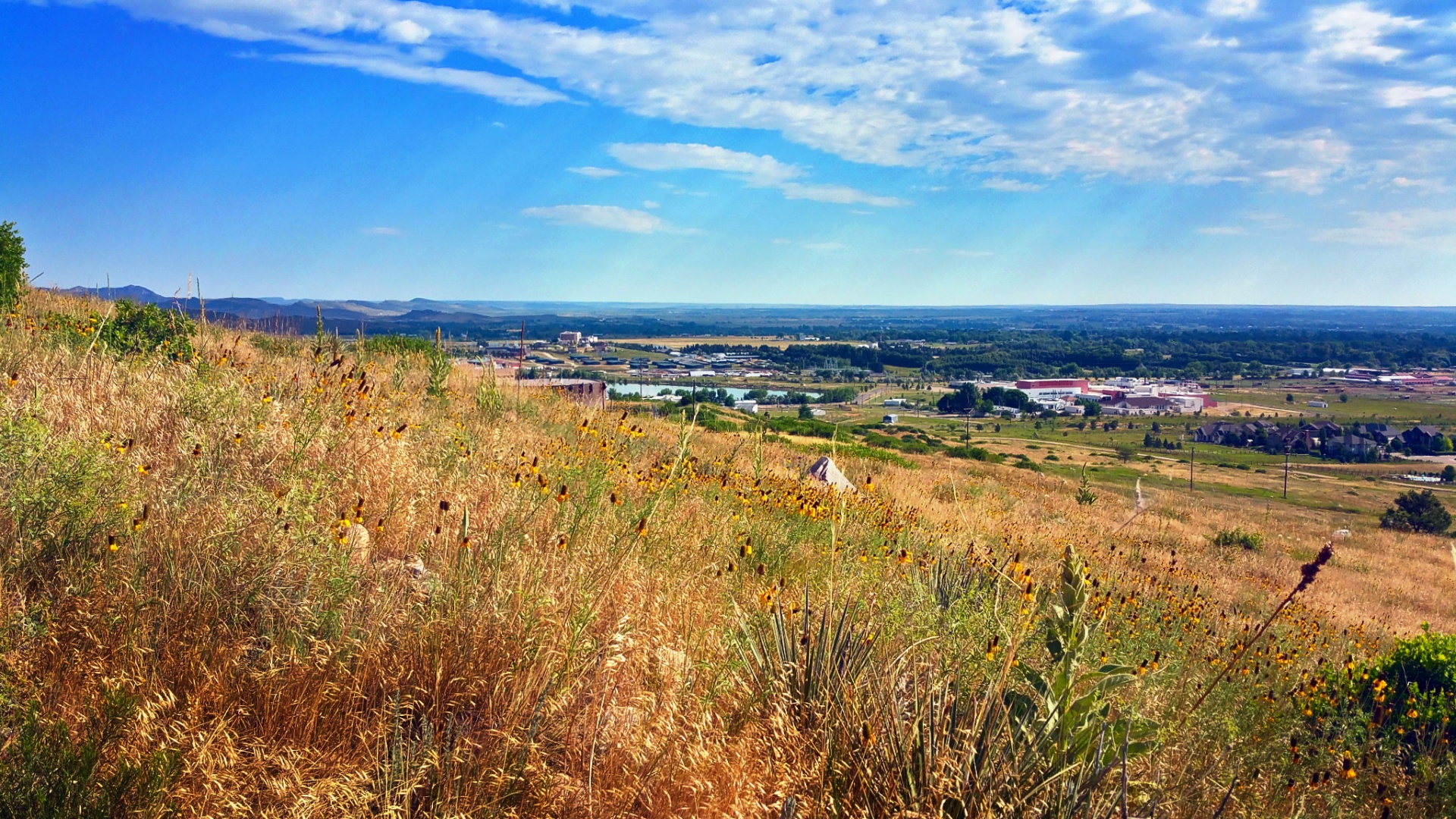 Moving to Fort Collins: Quick Start Guide