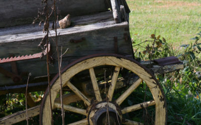 5 Sure Signs That You’ve Fallen into a Rut