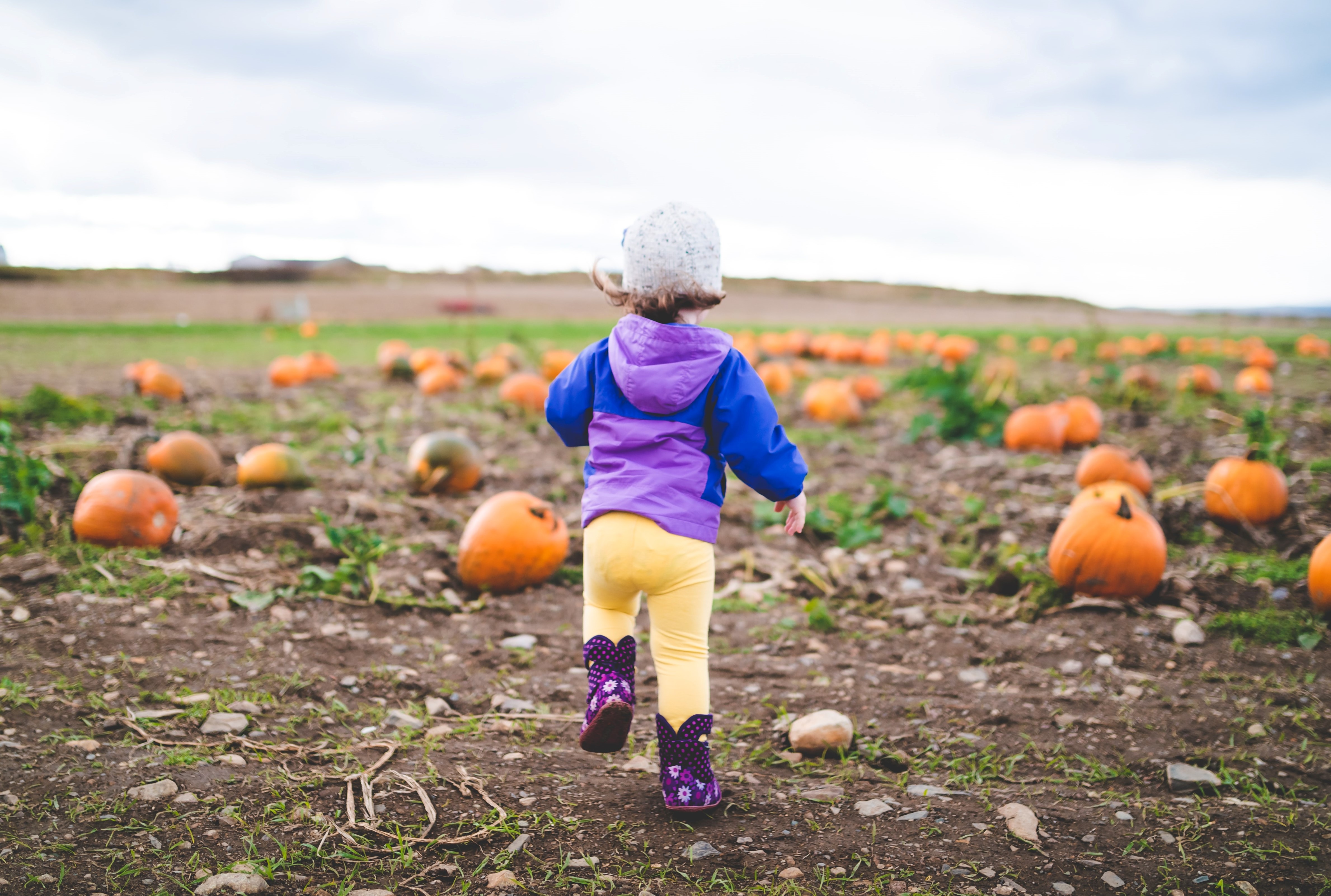 Child running in a pumpkin patch