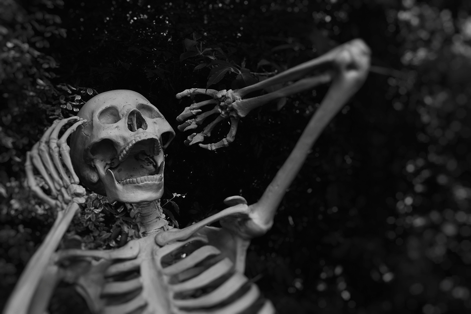 Grey skeleton screaming on a black background