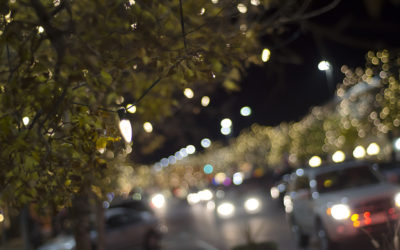 Community Spotlight: Holiday Light Displays in Fort Collins