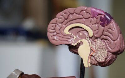 5 Fantastic Ways Coworking Improves your Mental Health