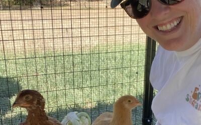On Chickens and Coworking